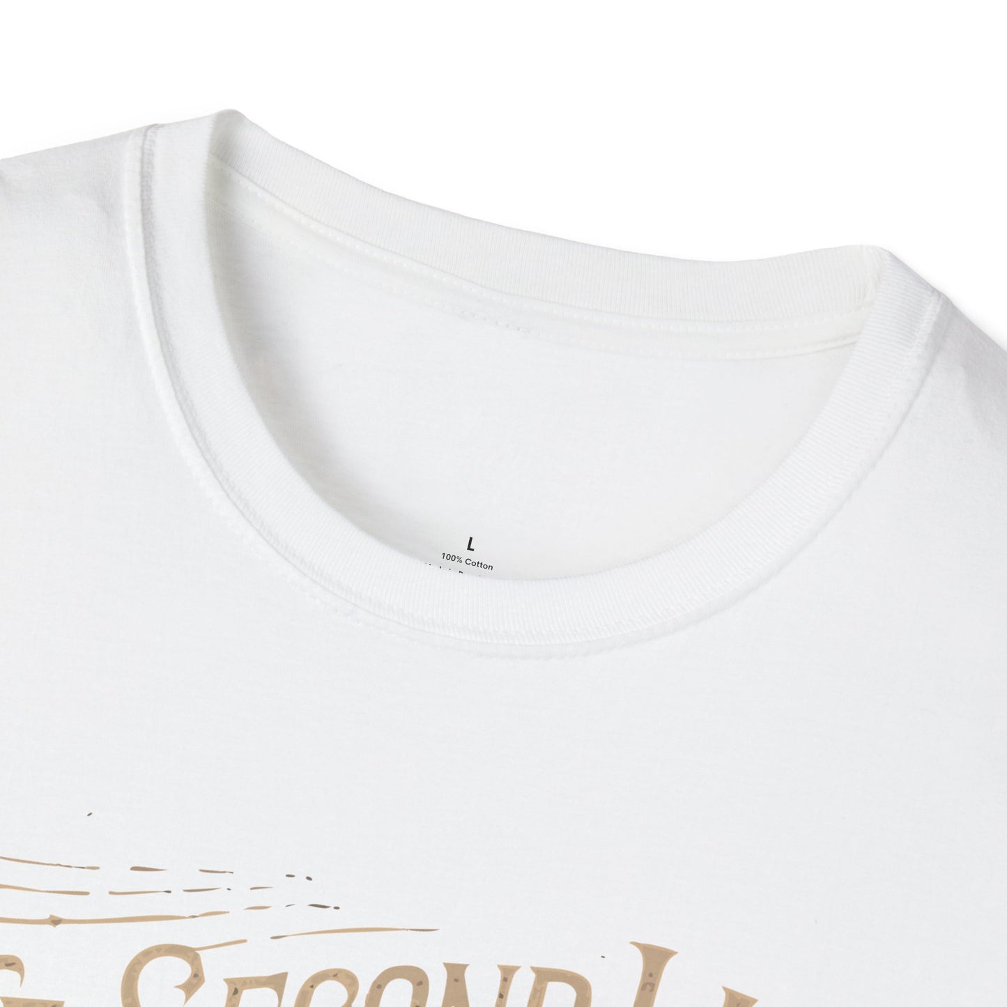 "The second law of Thermodynamics stole my Motivation" Premium Physics Shirt