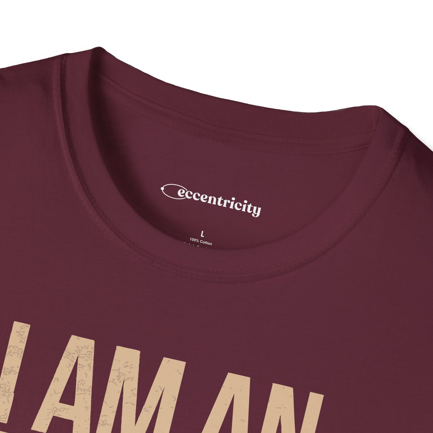 "I am an Engineer 003" Premium Physics Shirt