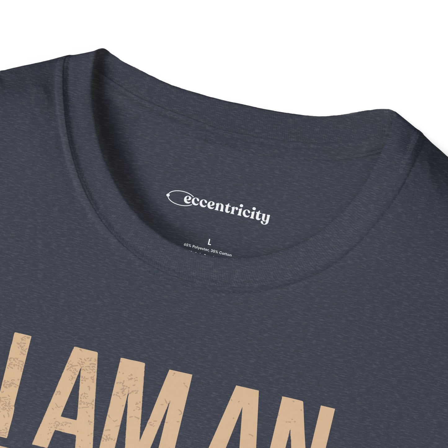 "I am an Engineer 003" Premium Physics Shirt