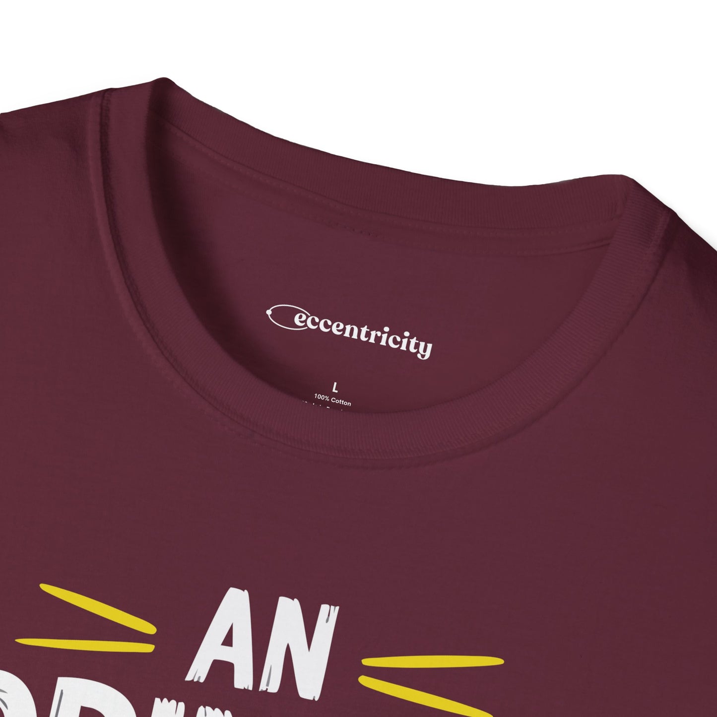 "An Opinion 3.14" Premium Physics Shirt