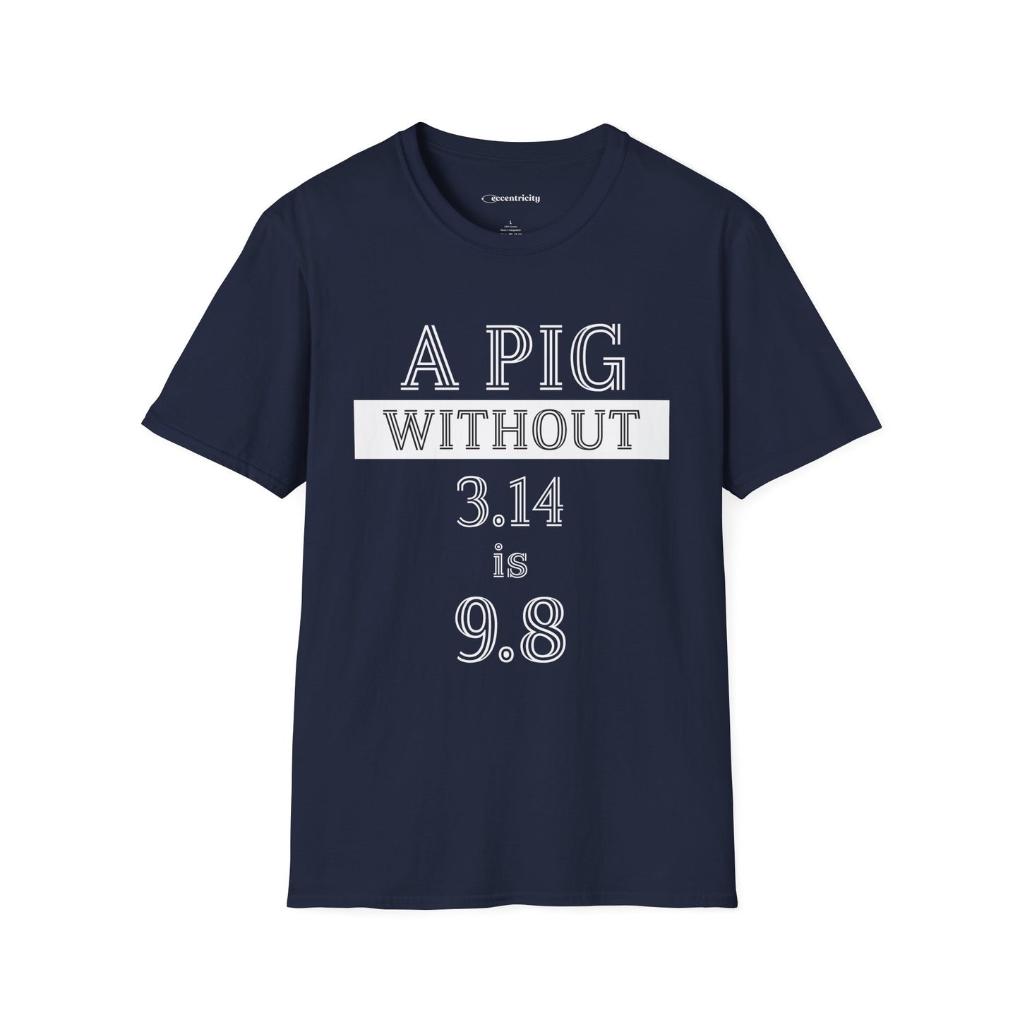 "A Pig without 3.14" dark Premium Physics Shirt