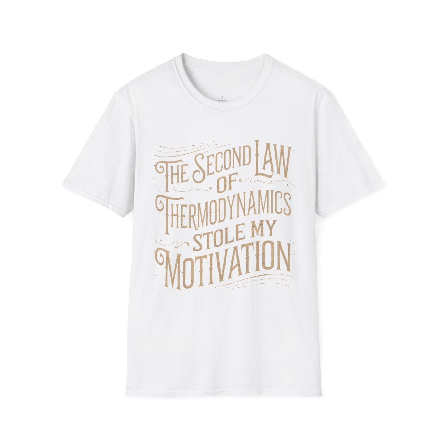 "The second law of Thermodynamics stole my Motivation" Premium Physics Shirt