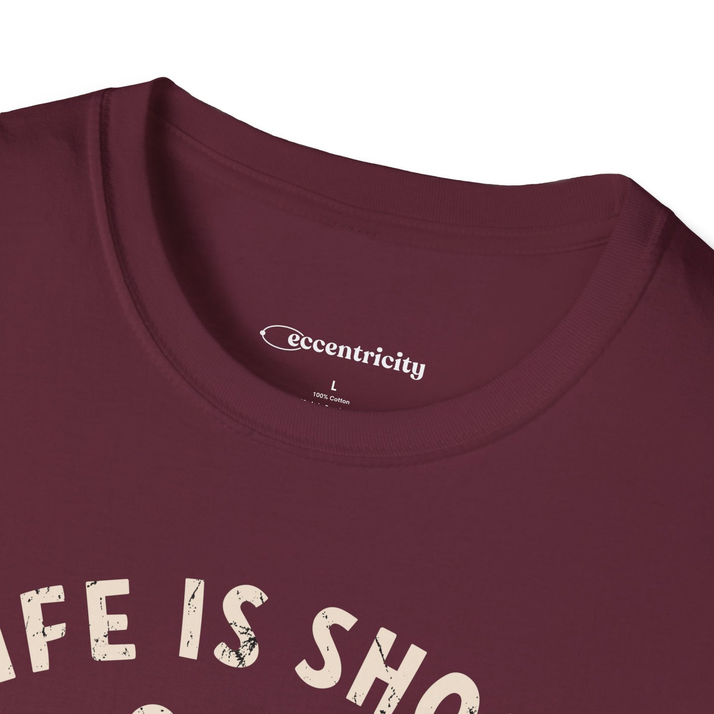 "I study Physics and Indulge in Dark Chocolate" Premium Physics Shirt