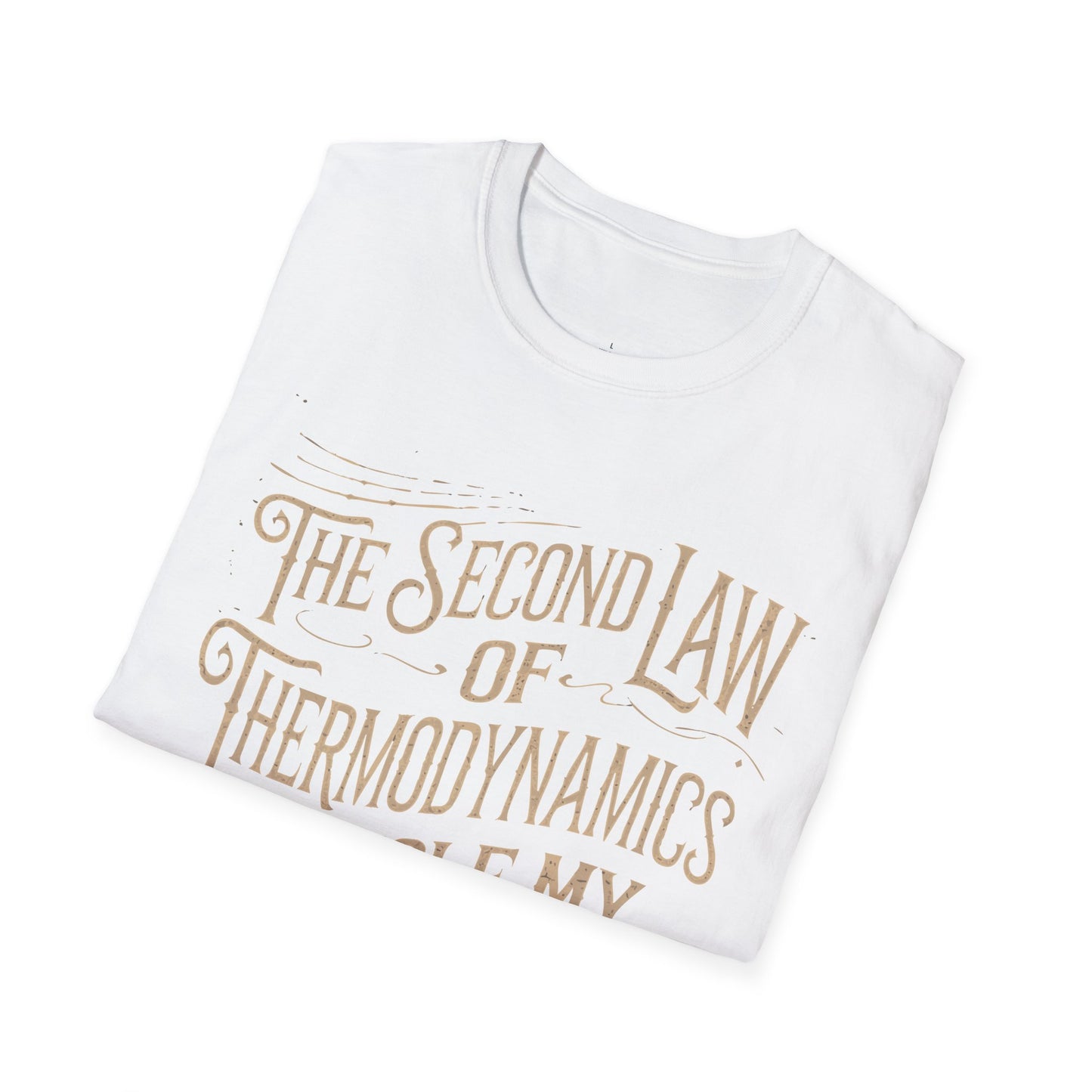"The second law of Thermodynamics stole my Motivation" Premium Physics Shirt