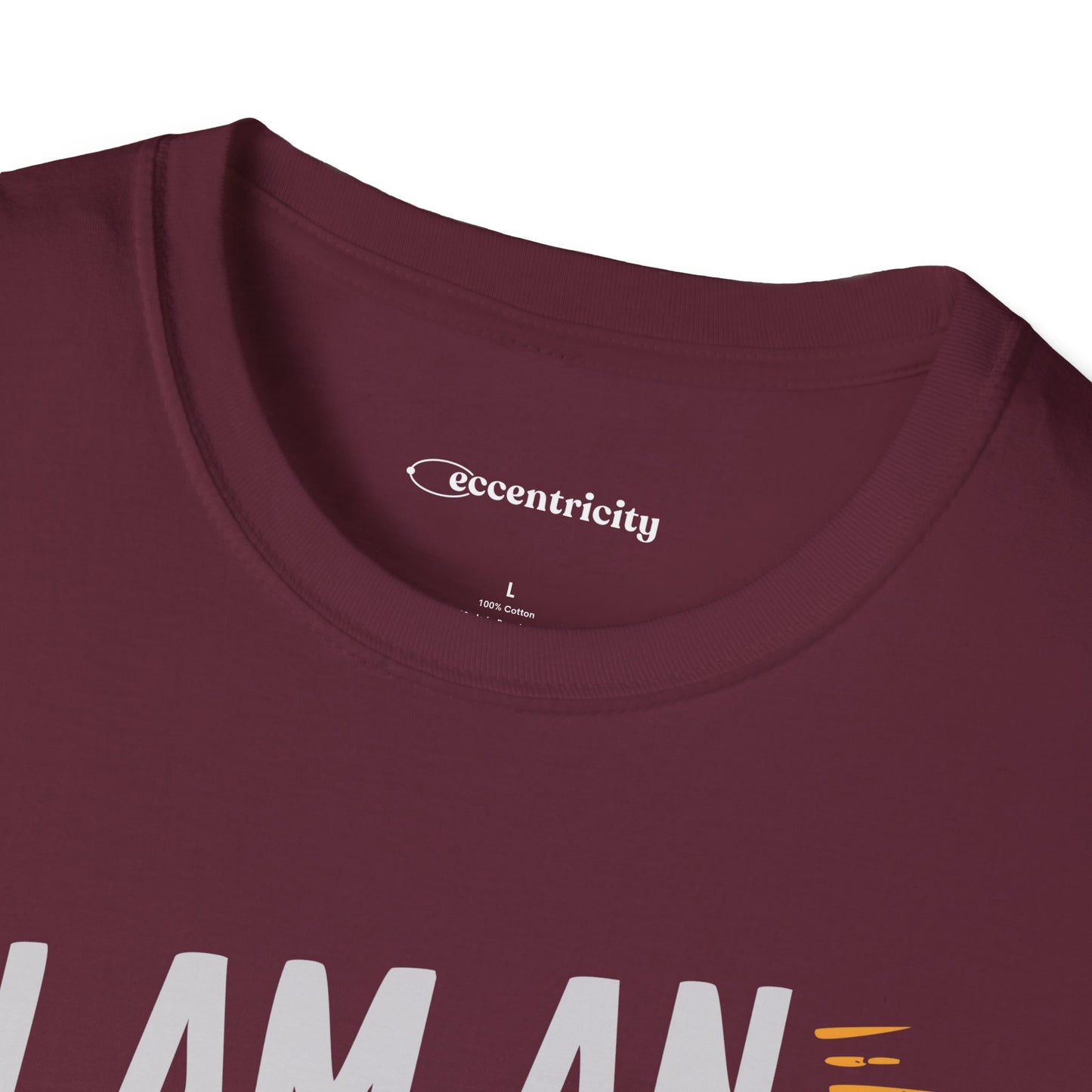 "I am an Engineer 004" Premium Physics Shirt