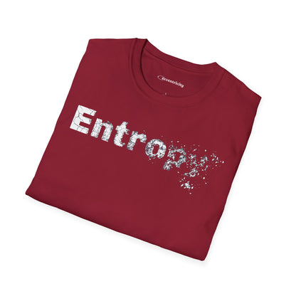 Entropy - Premium Physics Tee