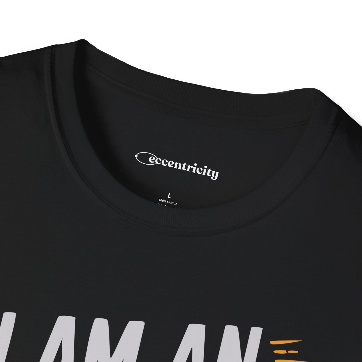 "I am an Engineer 004" Premium Physics Shirt