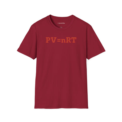 "PV=nRT" Physics Equation Shirt. Premium Physics Shirt