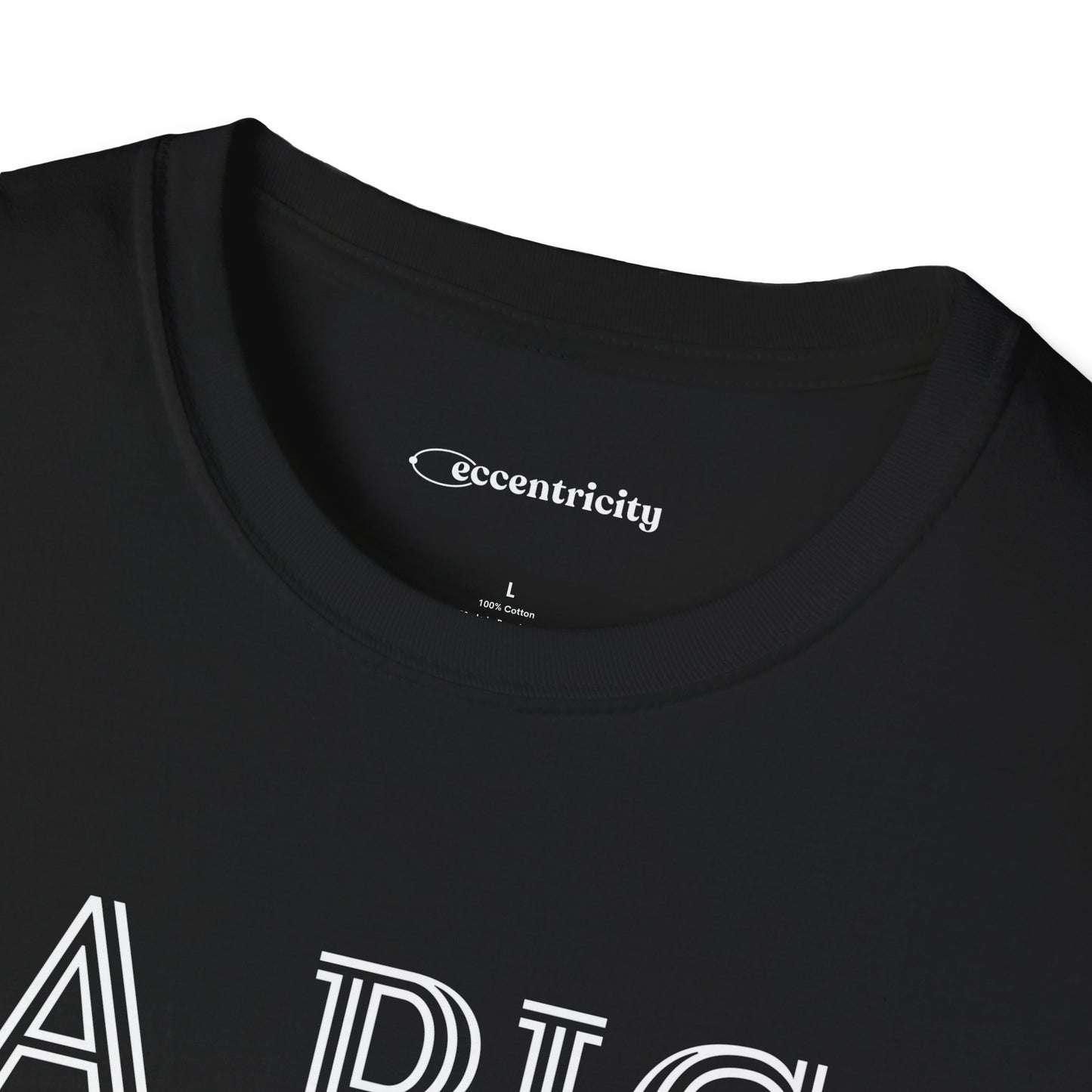 "A Pig without 3.14" dark Premium Physics Shirt