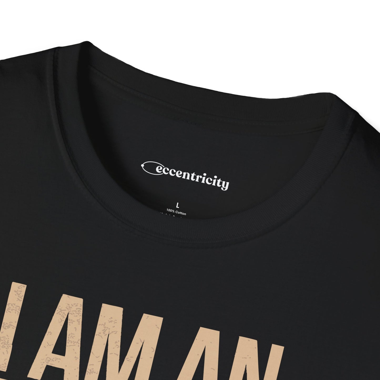 "I am an Engineer 003" Premium Physics Shirt