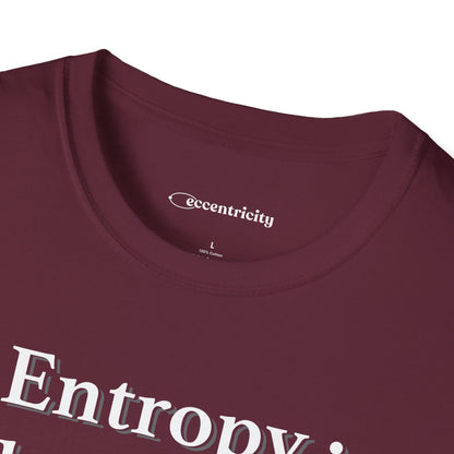 "Entropy 002" Premium Physics Shirt