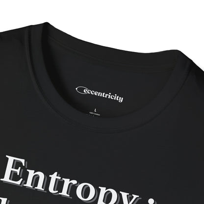 "Entropy 002" Premium Physics Shirt