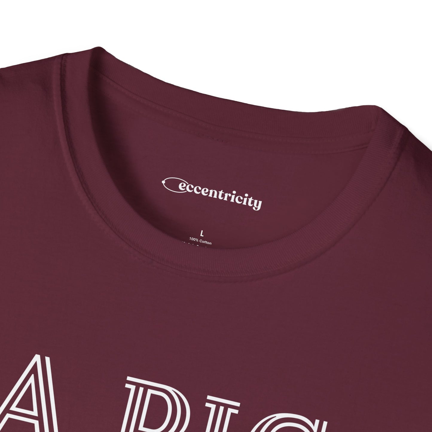 "A Pig without 3.14" dark Premium Physics Shirt