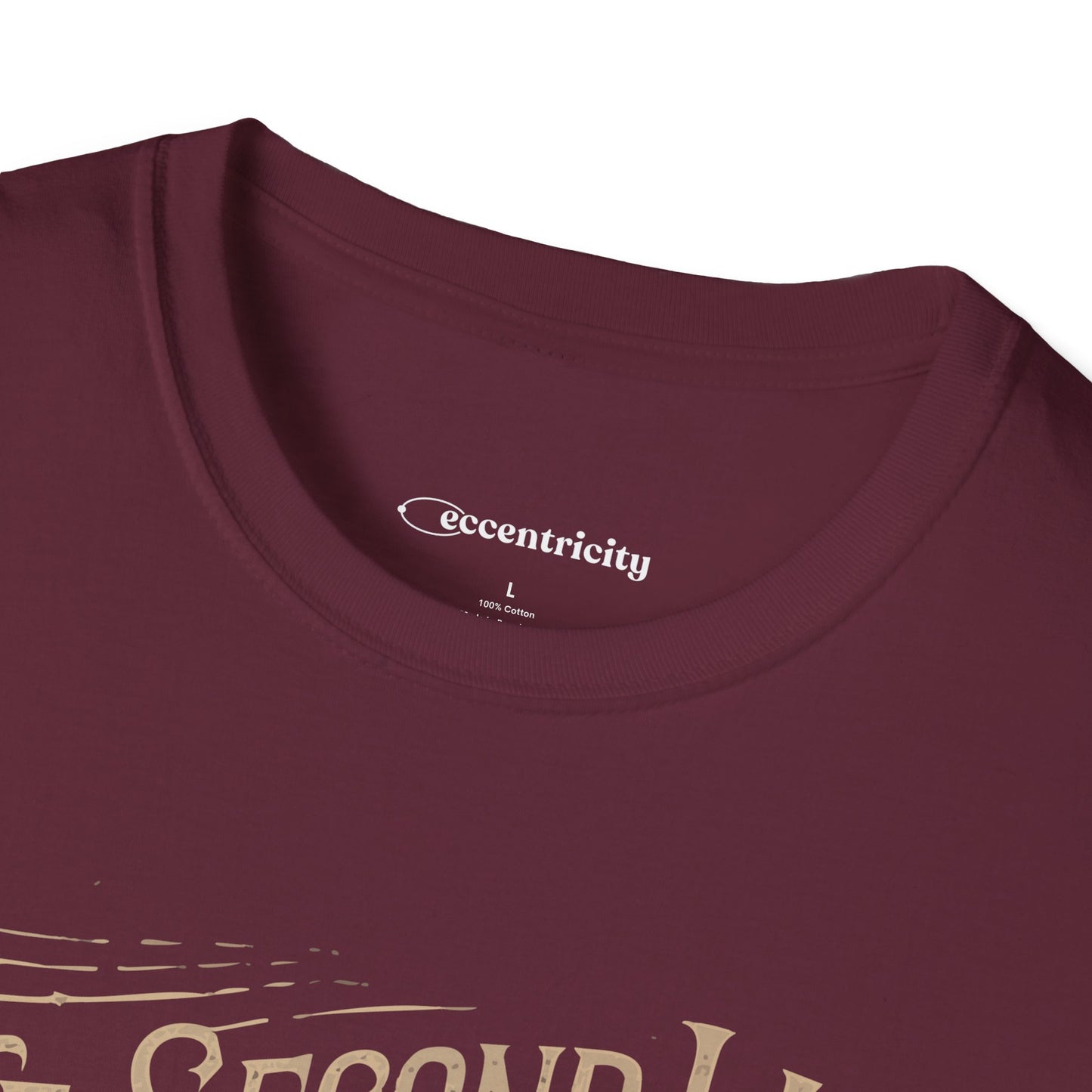 "The second law of Thermodynamics stole my Motivation" Premium Physics Shirt