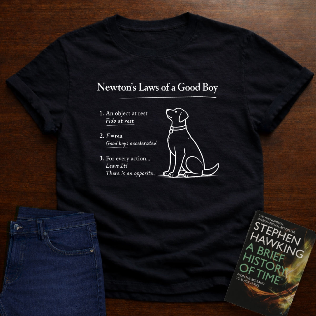 NEWTON'S LAWS OF A GOOD BOY T-SHIRT