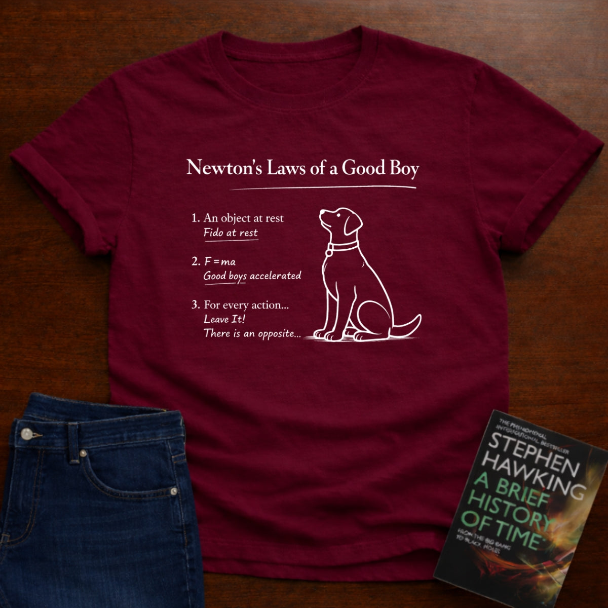 NEWTON'S LAWS OF A GOOD BOY T-SHIRT