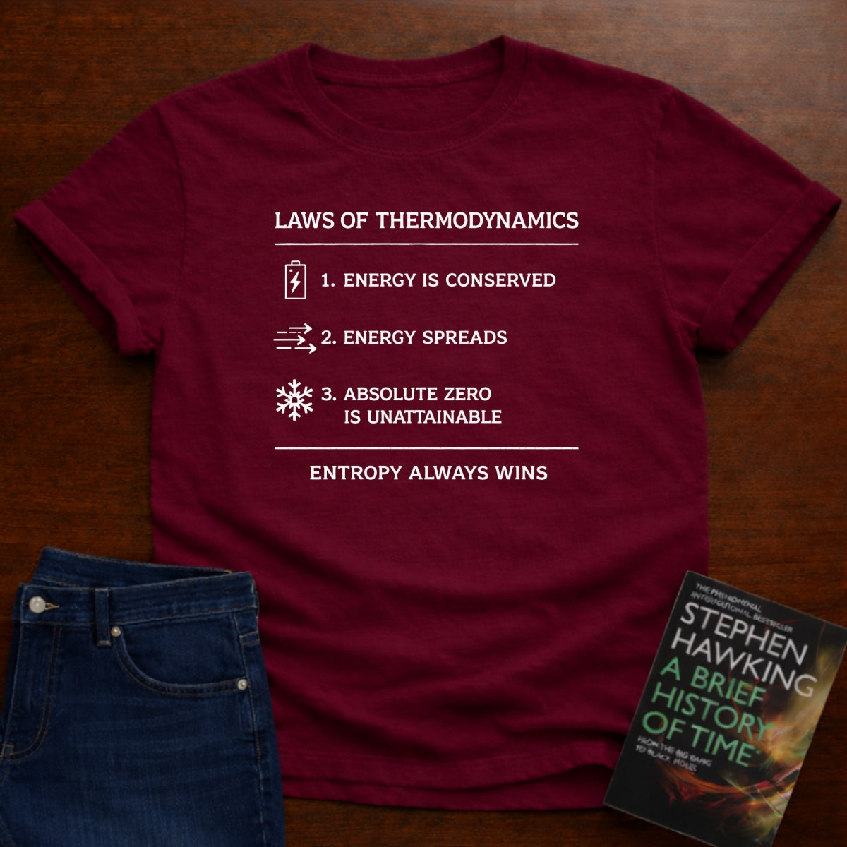 LAWS OF THERMODYNAMICS T-SHIRT