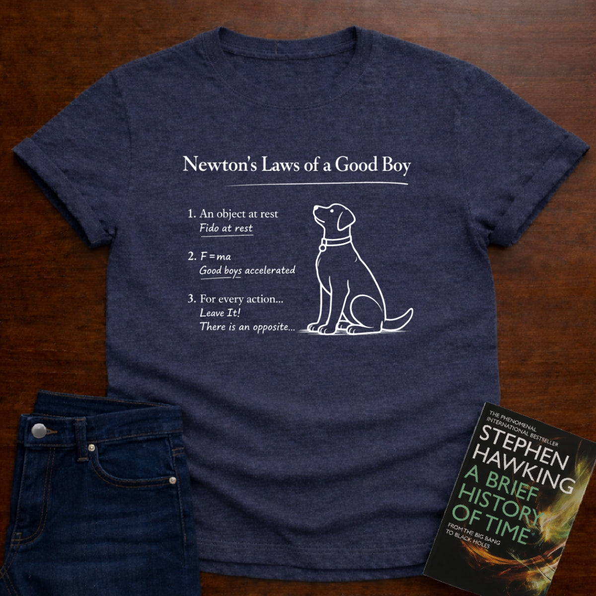 NEWTON'S LAWS OF A GOOD BOY T-SHIRT