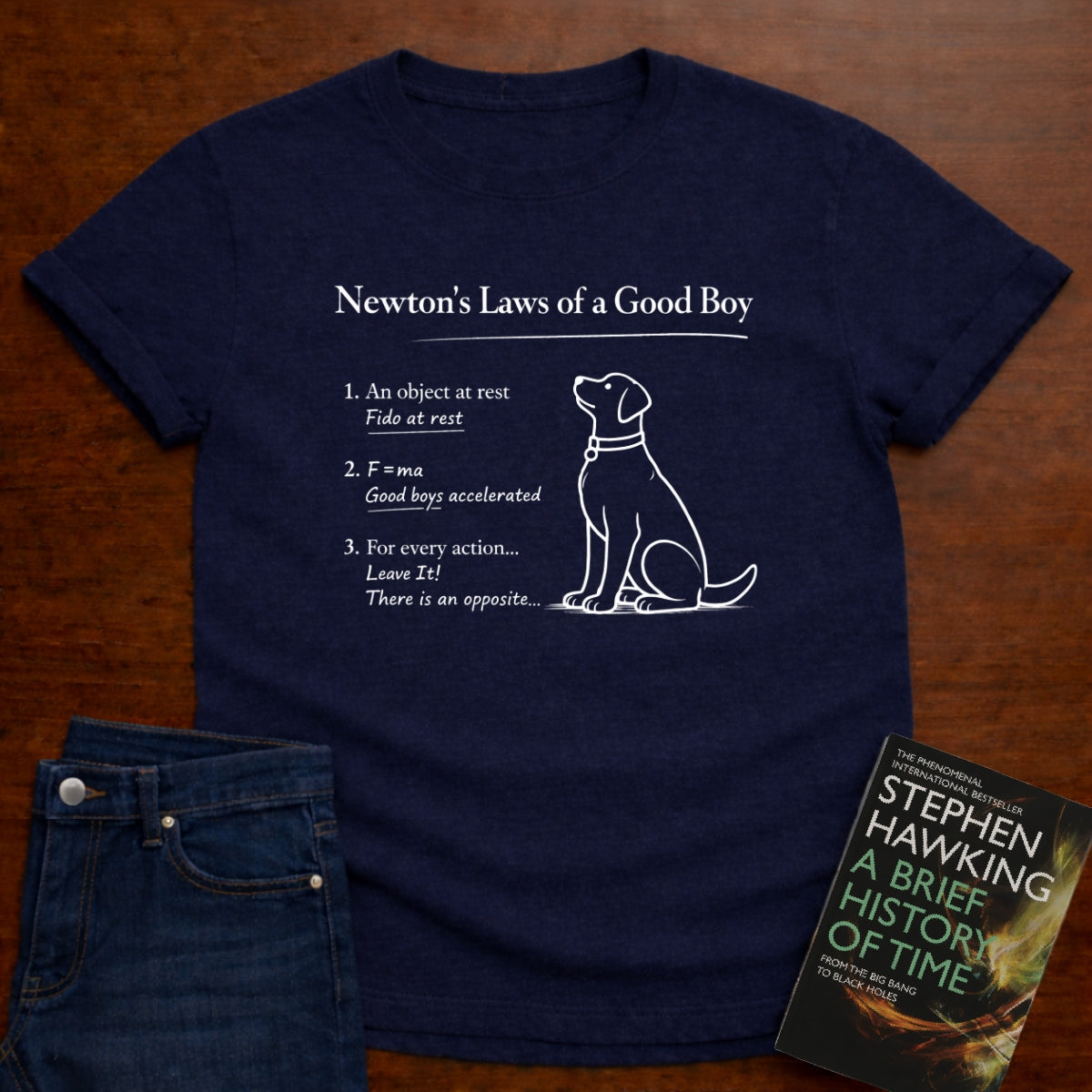 NEWTON'S LAWS OF A GOOD BOY T-SHIRT